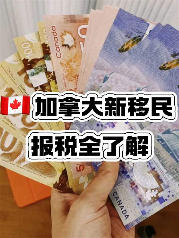 加拿大99%新移民不知道…報(bào)稅福利
