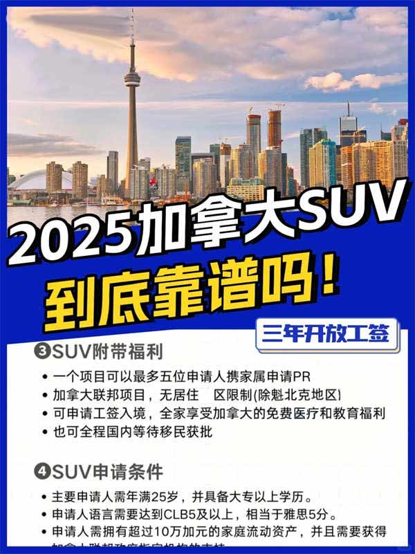 2025年加拿大SUV項目到底靠譜嗎？