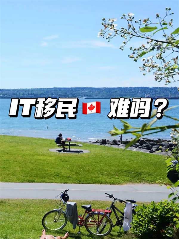 IT移民加拿大難不難？