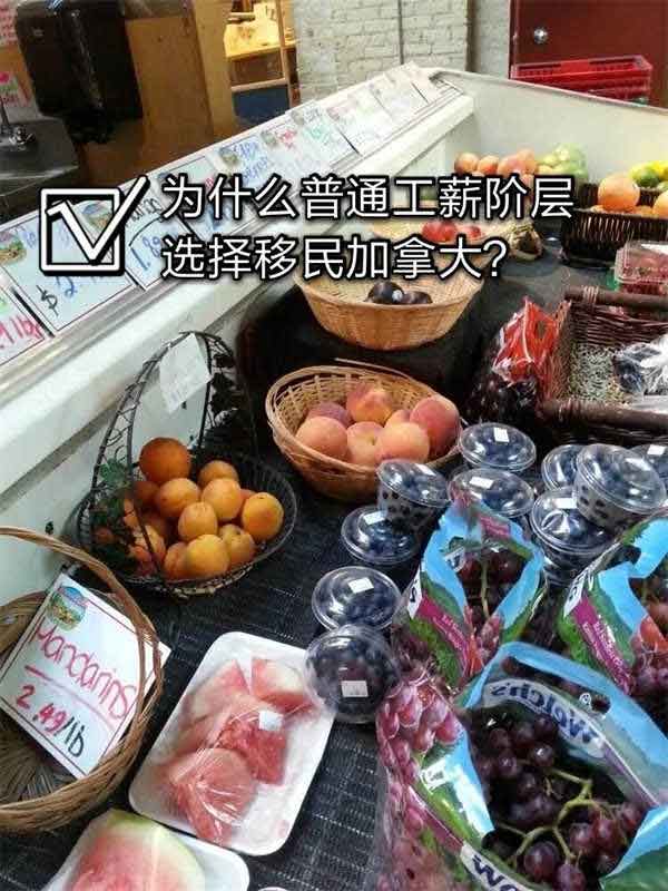 為什么越來(lái)越多中產(chǎn)、普通工薪階層選擇移民加拿大！