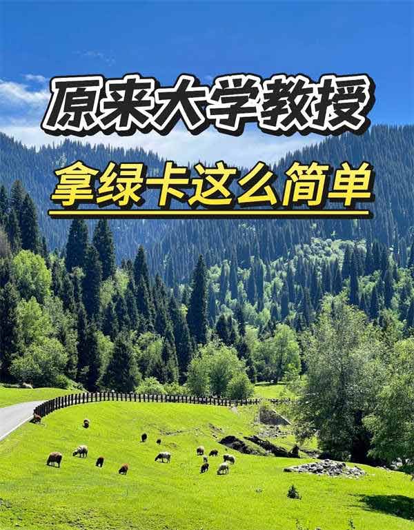 大學(xué)教授EB-1A移民美國，花1年半拿下綠卡！