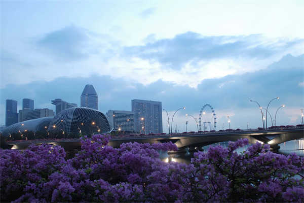 新加坡自雇移民項(xiàng)目的優(yōu)勢(shì)