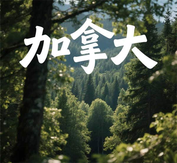 加拿大SUV移民攻略，一篇文章全搞定