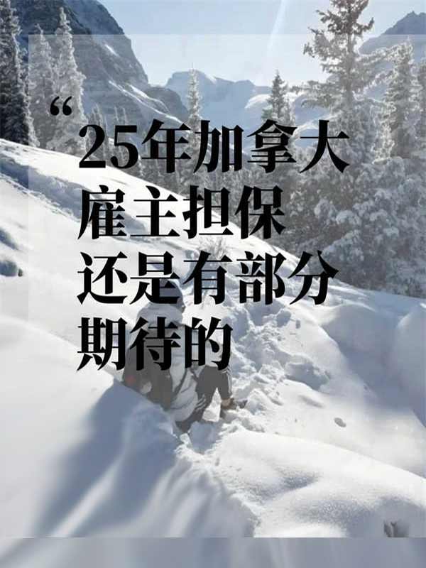 25年加拿大雇主擔(dān)保方面還有一點(diǎn)吸引力