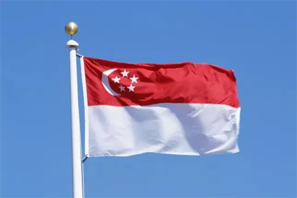 新加坡移民人群構(gòu)成與途徑解析
