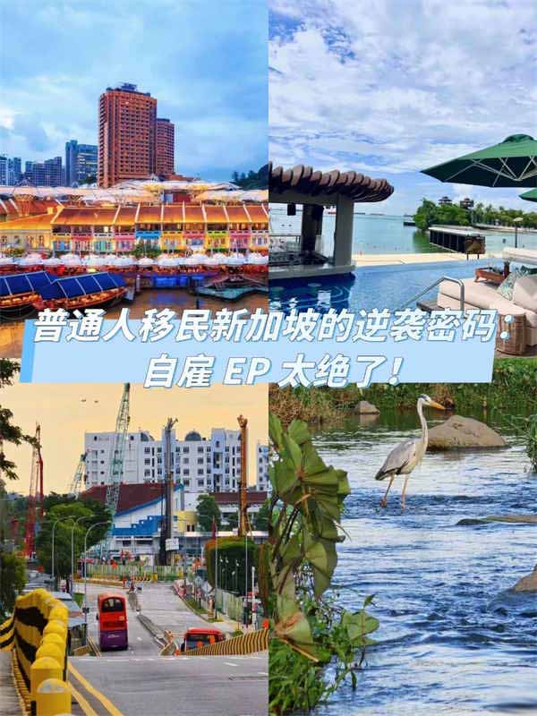 普通人移民新加坡的逆襲密碼！