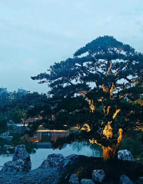 CRS下，適合高凈值人士的三種新加坡移民應(yīng)對(duì)方法