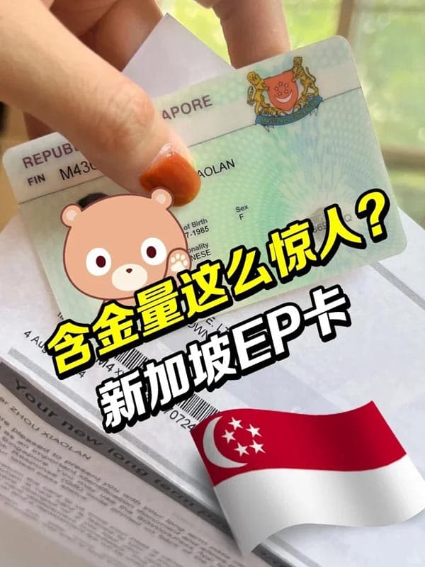 新加坡EP為什么說它是“職場黃金通行證”？