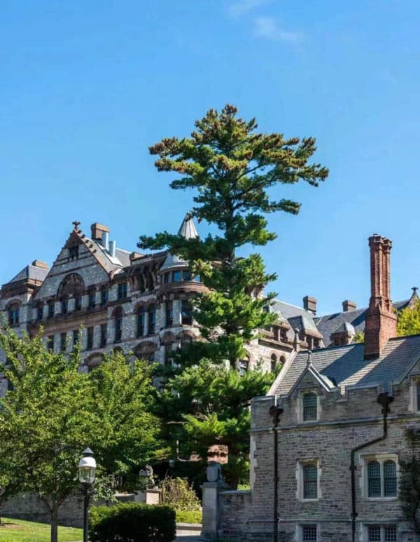 關于美國L1簽證的一些細節(jié)