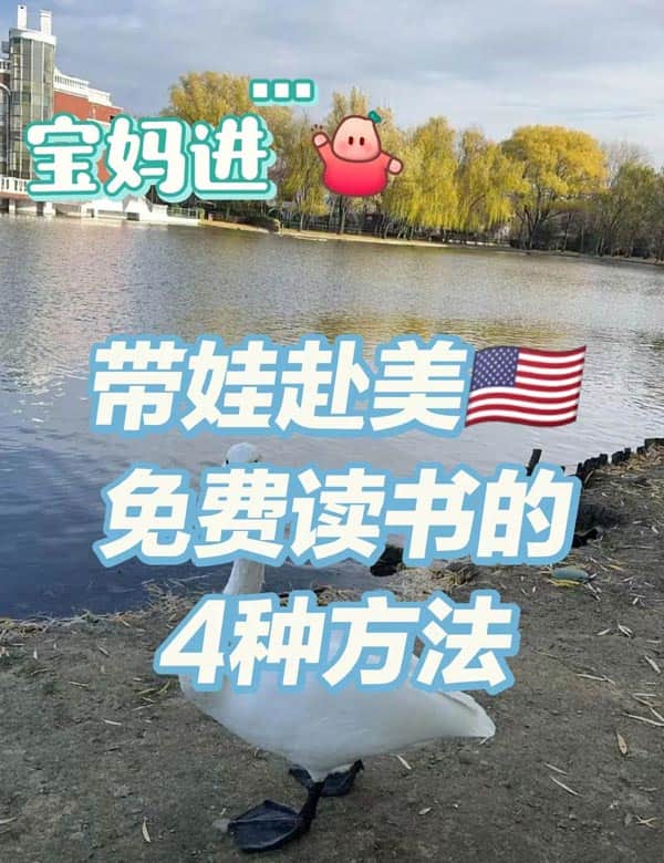 寶媽進(jìn)！帶娃赴美免費(fèi)讀書的4種方法