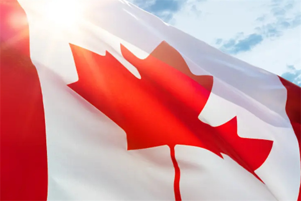 大齡移民加拿大，看這兩個主流方式就夠了
